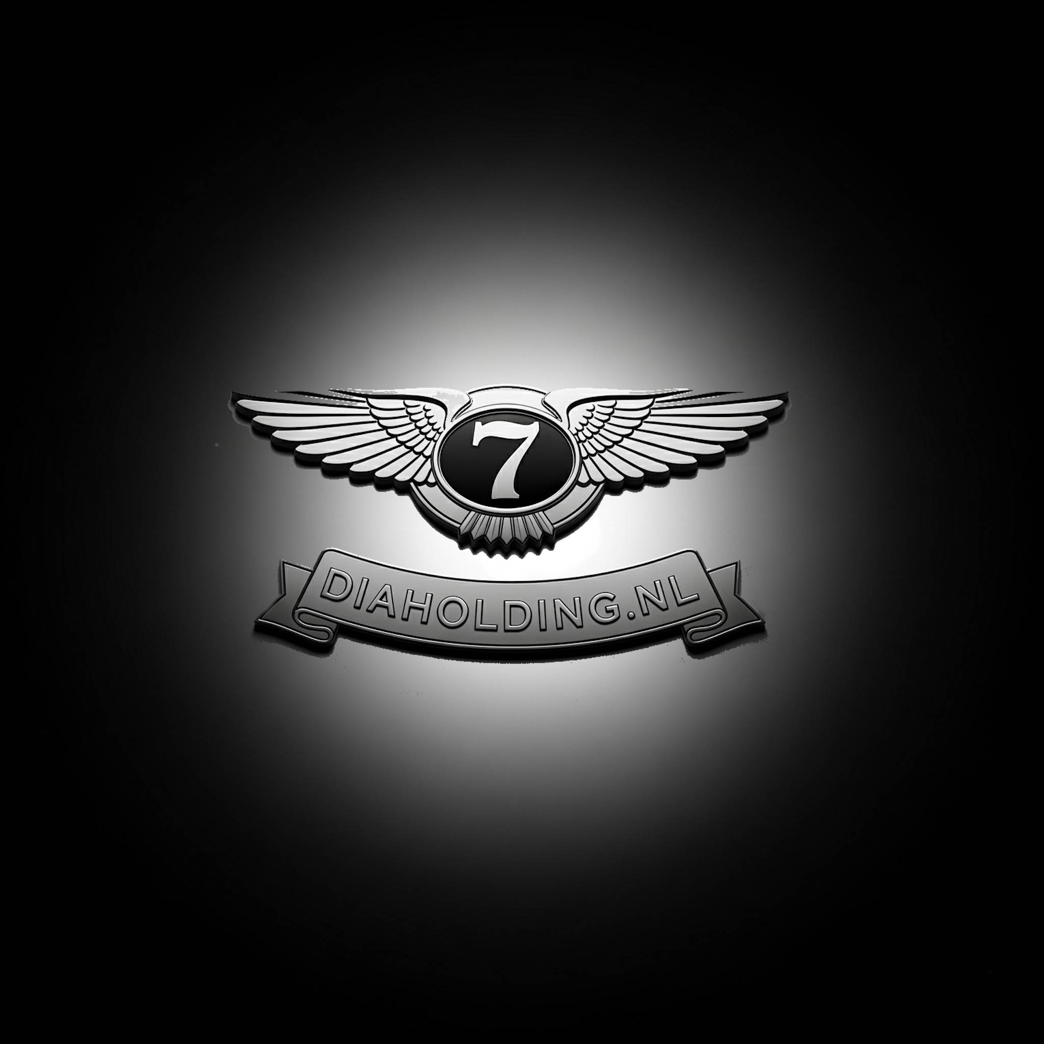 Diaholding.nl Logo